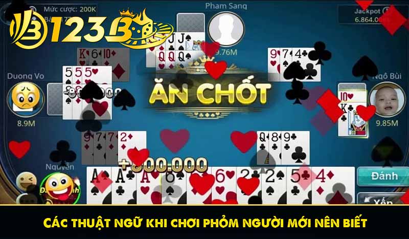 Các thuật ngữ khi chơi phỏm người mới nên biết